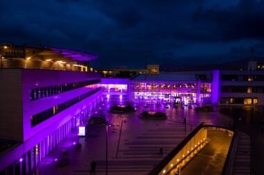 Universitätsklinikum Heidelberg Weltpankreaskrebstag 2024